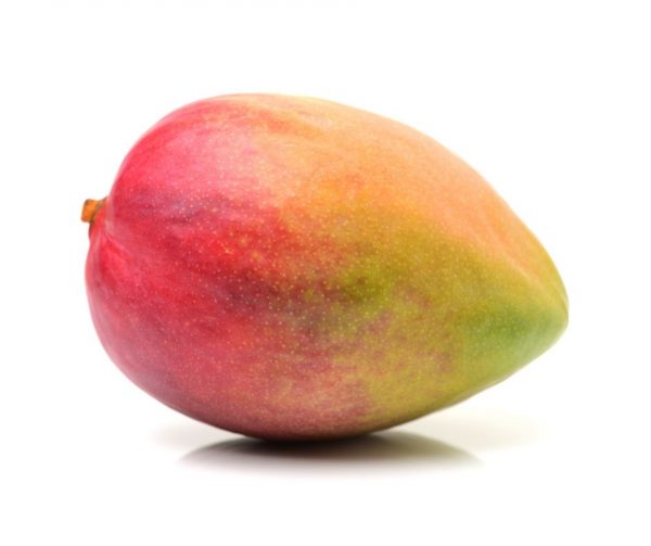 Mangue