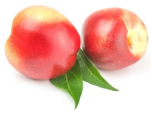 Nectarine