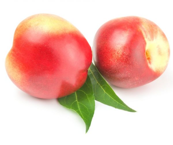 Nectarine