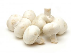 Champignon blanc