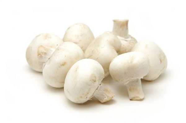 Champignon blanc